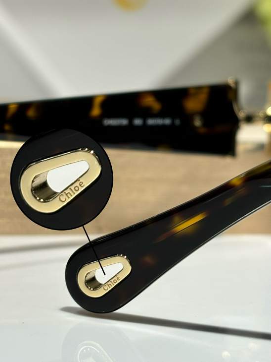 Picture of Chloe Sunglasses _SKUfw76989415fw
